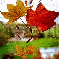 Splashing Drops - Sleep Waves & Gentle Rain Makers & Schlaflieder Relax
