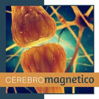 Ondas Cerebrais para Trabalhar - Cristóvão Mente