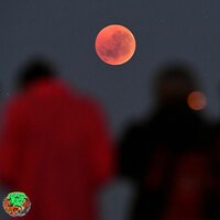 Blood Moon - Planeta Juzz