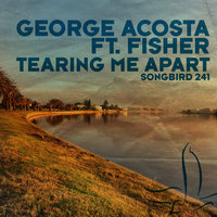 Tearing Me Apart - George Acosta
