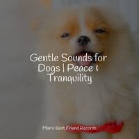 Elixir of Life - Music for Dogs & Music for Dogs Collective & Pet Care Music Therapy