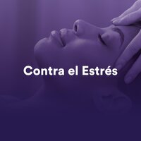 Relajación: Bienestar - Nature Sounds Radio