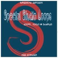 Special Studio‬ Loops 128 - Patrick Seeker