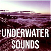 Zen & Massage - Water Sounds Music Zone