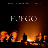 Un Fuego Con Lluvias - Estudio de sonidos de lluvia & Fuego Ambiental & Musica para Concentrarse