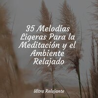 Paseo Diario - Massagem Música & Sonidos De La Naturaleza & Musica Relajante Para Dormir