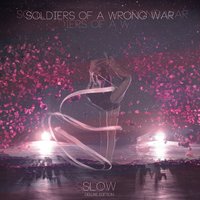 Inside My Bones - Soldiers of a Wrong War