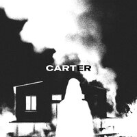 Carter - Rivilin