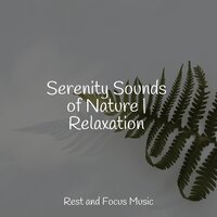 Droplets - Relaxing Sleep Music & Kings of Nature & Amazing Spa Music