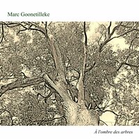 Sur la grève - Marc Goonetilleke