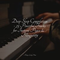 Nature's Peaceful Paradise - Piano Relajante & Piano for Studying & Piano Soul