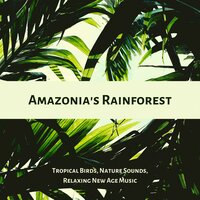 Falling Rain - Autogenic Training Music Rec. & Sleep Music with Nature Sounds Relaxation