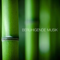 Entspannen und Wohlfühlen - Beruhigende Musik Akademie
