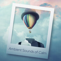 Deep Night - Guided Meditation Music ZoneIInspiring Meditation Sounds Academy