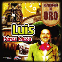 Camino Del Sol - Luis Perez Meza