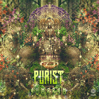 Source Field Investigation - Purist & E.V.P