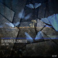 Like You - Di Morais & Zonatto