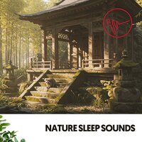 Nocturnal Reflections - Ruido Blanco Hart & Sleeping Music & Amazing Spa Music