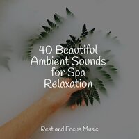 Tranquil Contemplation - Monarch Baby Lullaby Institute & Sleepy Times & Relax Meditation Sleep