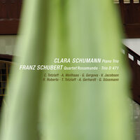 String Quartet No. 13 in A Minor, D. 804 "Rosamunde": II. Andante - Rachel Roberts & Antje Weithaas & Christian Tetzlaff & Tanja Tetzlaff & Франц Шуберт