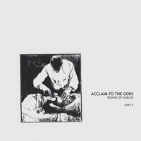 Introducing Them To Dark Void - Acclaim To The Gods
