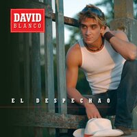 Fiesta - David Blanco