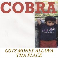 Newsletta - Cobra