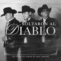 Pensé - Los Plebes del Rancho