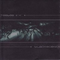 A Voice in the Wilderness - Teebee
