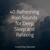 Ocean Waves and Seagulls Overhead - Rain Man Sounds & Lightning & Baby Sweet Dream