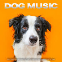 Sleeping Music for Dogs - Aveda Blue & Dog Music & Music for Dogs
