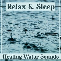Rainy Forest - Healing Waters Zone