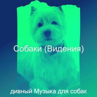 Впечатление (Щенки) - дивный Музыка для собак