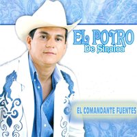 El Cisne - El Potro De Sinaloa