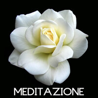 Quiet the Mind - Meditazione