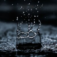 Wet Money - Lofi Rain