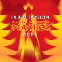 Amor de oropel - Banda Machos