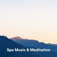 Flying in a Dream - Amazing Spa Music & Spa Music Relaxation & Spa Music & Meditation Collective
