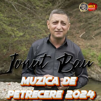 DE GRIJI SI DE SUPARARE - IONUT BAU