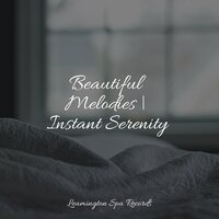 Mellow Tones - Calming Rainforest Sounds & Exam Study Classical Music & The Relaxation Principle
