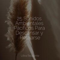 Sueños Relajados - Sons da natureza HD & Musica Para Meditar y Relajarse & Relajantes sonidos de lluvia