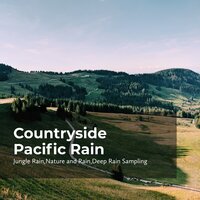 Peace and Quiet Nature - Nature and Rain & Deep Rain Sampling & Jungle Rain