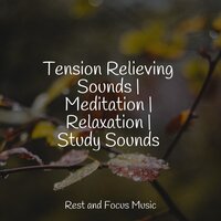 Sleep Soundtrack - Bath Spa Relaxing Music Zone & Yoga Workout Music & Saludo al Sol Sonido Relajante