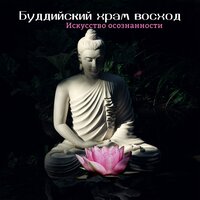 Ночной ритуал - Five Senses Meditation Sanctuary