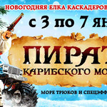 Новогодняя елка каскадеров "Пираты карибского моря"