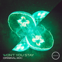 Won't You Stay - Indivision & Livewire & Tasha Baxter