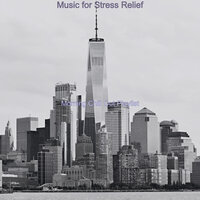 Tranquil Moment for All Night Study Sessions - Morning Chill Out Playlist