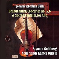 Brandenburg Concerto No. 6 in B-Flat Major: III. Allegro - Szymon Goldberg & Nederlands Kamer Orkest & Johann Sebastian Bach