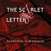 Nathaniel Hawthorne. «The Scarlet Letter». #4 - Emma Gibson