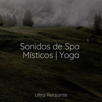 Promesa De La Mañana - Meditacao Clube & Musica Meditaction & Sons da Natureza